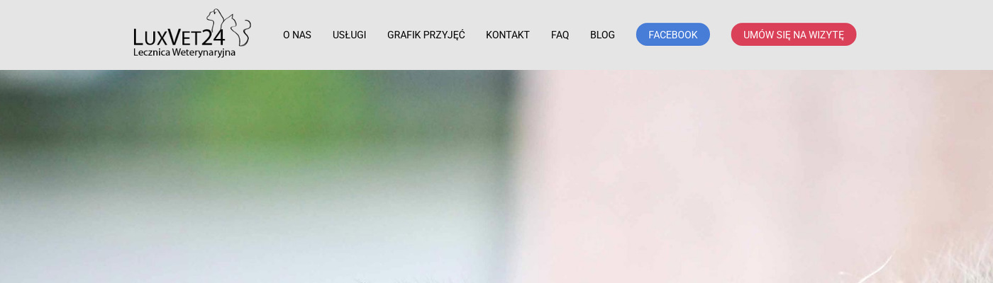 lecznica-weterynaryjna-luxvet24